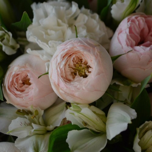 Букет «Блум»