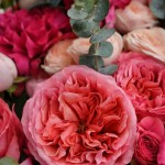 Букет «Пуэр-XL»