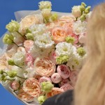 букет 109 нежно-розовые и персиковые пионовидные розы с белой эустомой