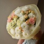 букет 116 персиковые диантусы нежные цветы