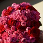 букет Каркаде XL малиновые и красные розы общий вид