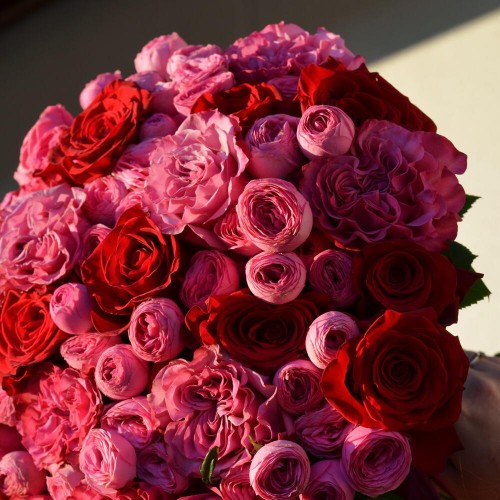 Букет «Каркаде», XL