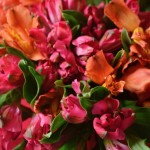 Букет limited №4 for MOM