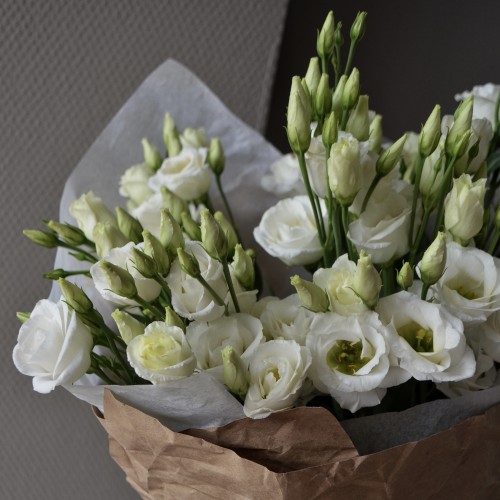 Монобукет «Эустома» S