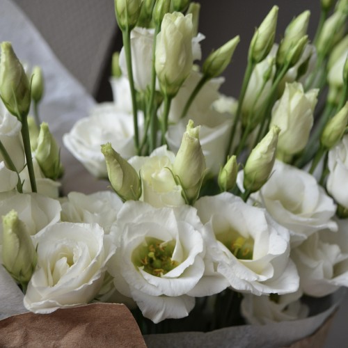 Монобукет «Эустома» S