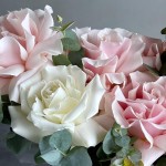 French roses in a box