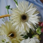 Авторская корзина «Bruno»