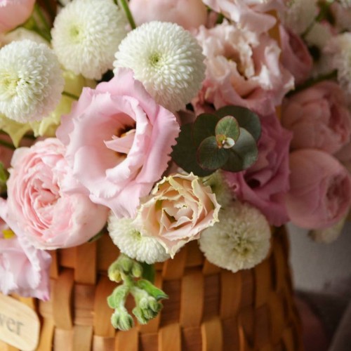 Композиция «Камилла»