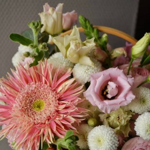 Композиция «Камилла»