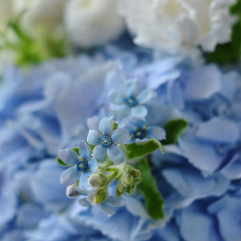 Seasonal Bouquet No. 7