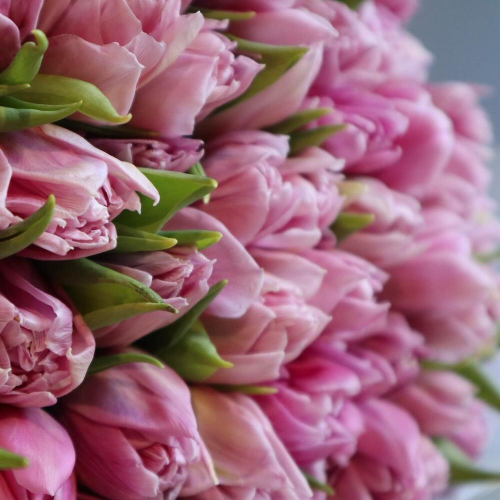 Bouquet of 21 peony lavender tulips
