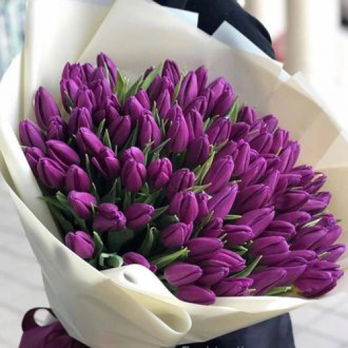 Букет из 101 тюльпана фиолетового
