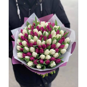 101 белый и фиолетовый тюльпан