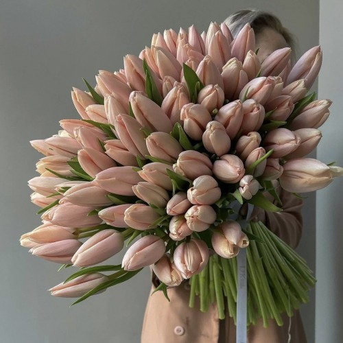 Bouquet of 101 salmon tulips