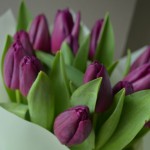Букет из 15 фиолетовых тюльпанов - красивый подарок на любой праздник