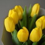 Букет из 15 желтых тюльпанов в Минске