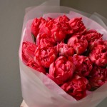 Bouquet of 15 peony tulips Flash Point