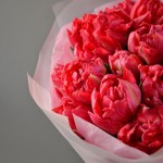 Bouquet of 15 peony tulips Flash Point