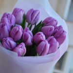 Bouquet of 15 peony lavender tulips