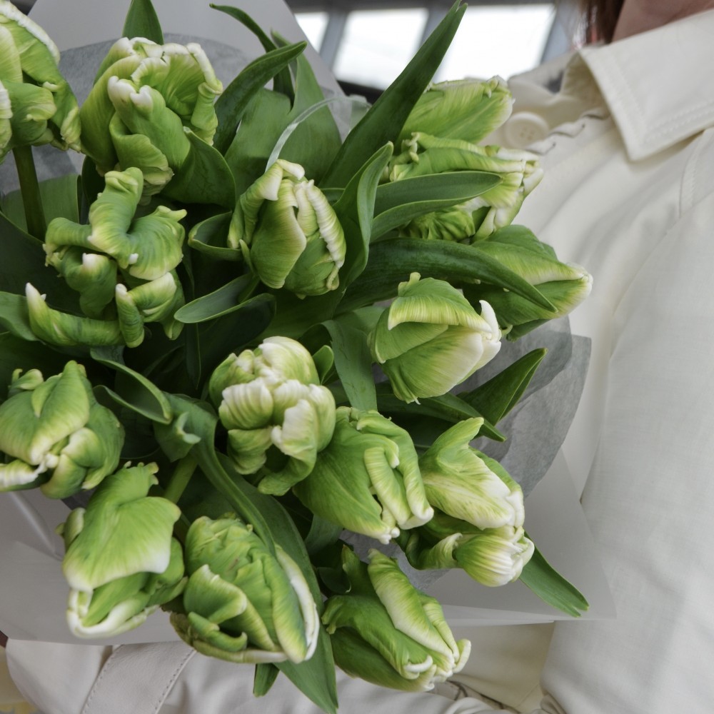 Tulip season - when should you buy a bouquet of tulips?