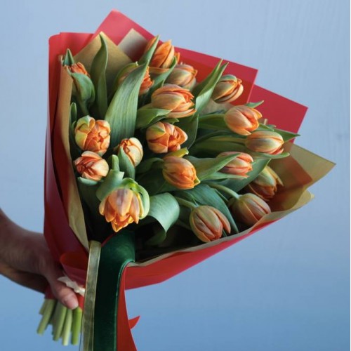 15 пионовидных тюльпанов Orca