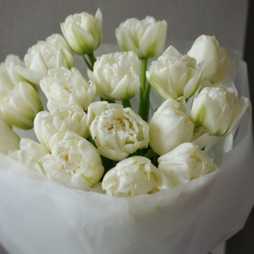 Букет из 21 пионовидного тюльпана белого