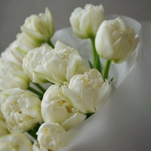 Букет из 21 пионовидного тюльпана белого