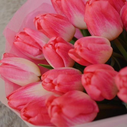 Букет из 21 тюльпана Super Model