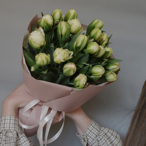 Bouquet of 19 Whipped Cream tulips