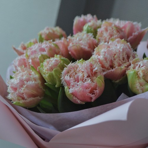 Bouquet of 21 Queensland tulips