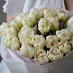 Букет из 25 пионовидных тюльпанов белых