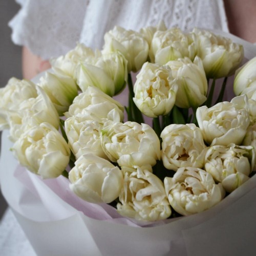 Букет из 25 пионовидных тюльпанов белых