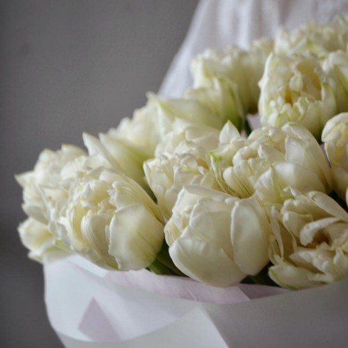 Букет из 25 пионовидных тюльпанов белых