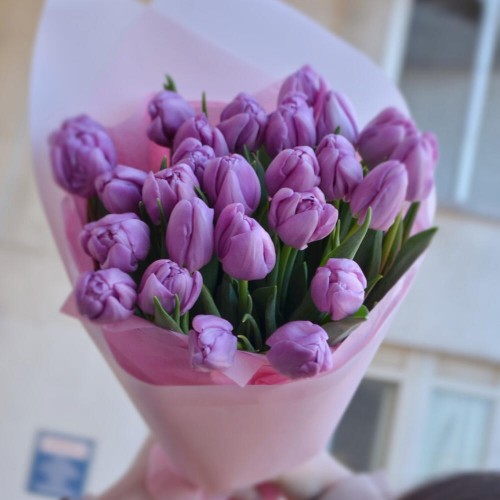 Букет из 25 пионовидных тюльпанов лавандовых