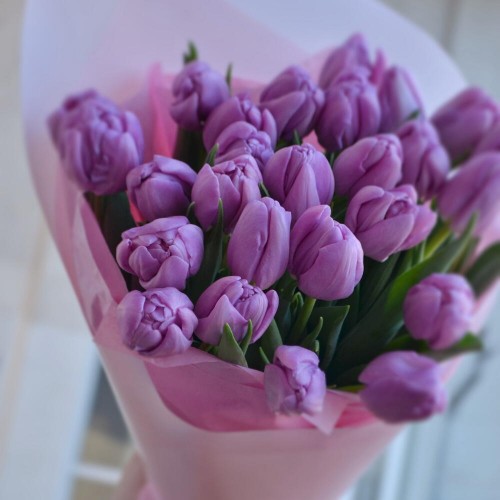 Букет из 25 пионовидных тюльпанов лавандовых