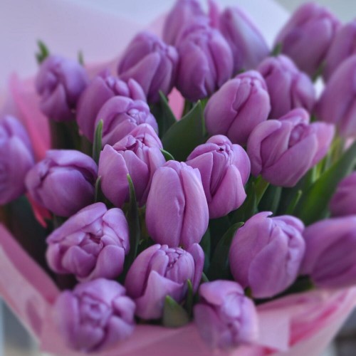 Букет из 25 пионовидных тюльпанов лавандовых