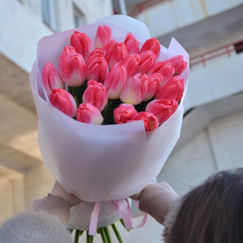 Букет из 25 тюльпанов Super Model
