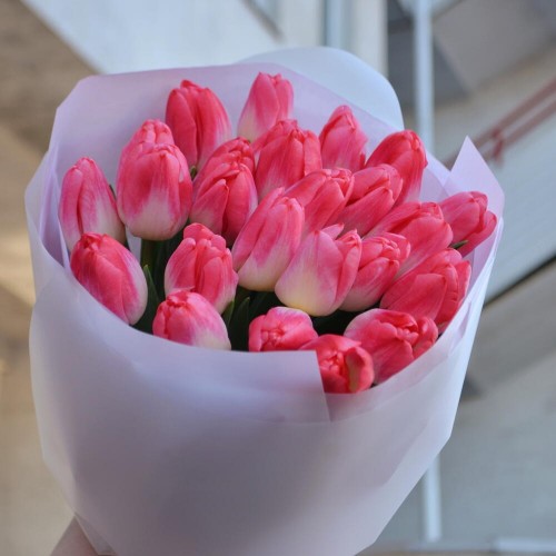 Букет из 25 тюльпанов Super Model