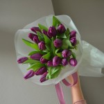 Фиолетовые тюльпаны