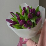 Bouquet of 25 purple tulips