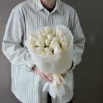 Белые тюльпаны