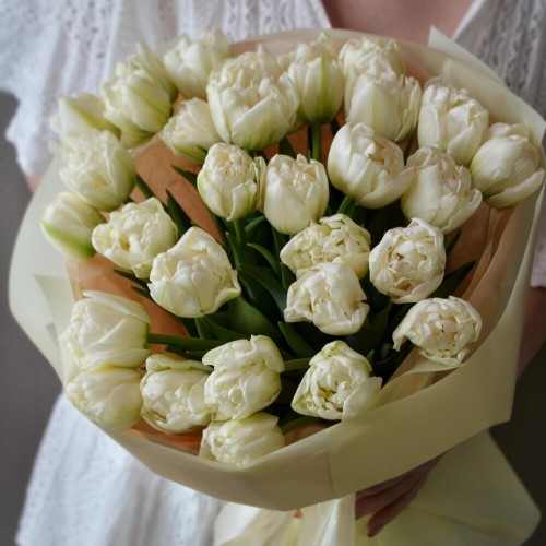 Bouquet of 31 white peony tulips