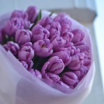 Bouquet of 31 peony lavender tulips