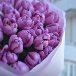 Bouquet of 31 peony lavender tulips