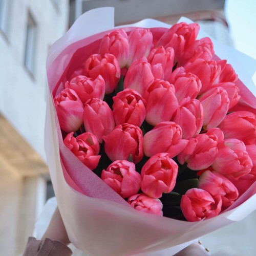 Букет из 31 тюльпана Super Model