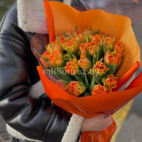 31 пионовидный тюльпан Orca