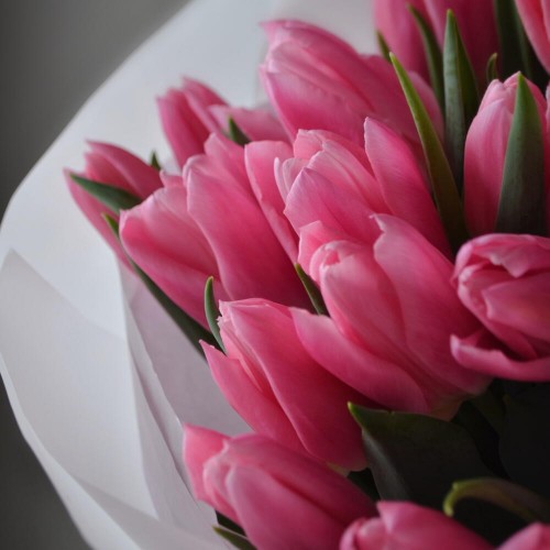 Bouquet of 31 pink tulips