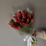 Букет из 35 красных тюльпанов