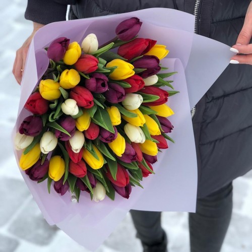 35 разноцветных тюльпанов