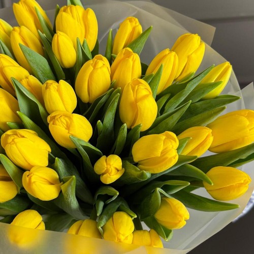 Букет из 35 тюльпанов желтых